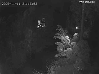 水利署水資源 水利署水利行政組 鯉魚橋(4)