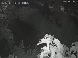 水利署水資源 水利署水利行政組 鯉魚橋(2) 距離5.8公里