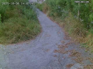 水利署水資源 水利署水利行政組 溪州大橋(4)