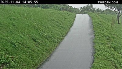 水利署水資源 水利署水利行政組 C4_1