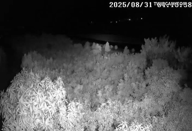 水利署水資源 屏東縣政府水利處 枋山大橋 - 3