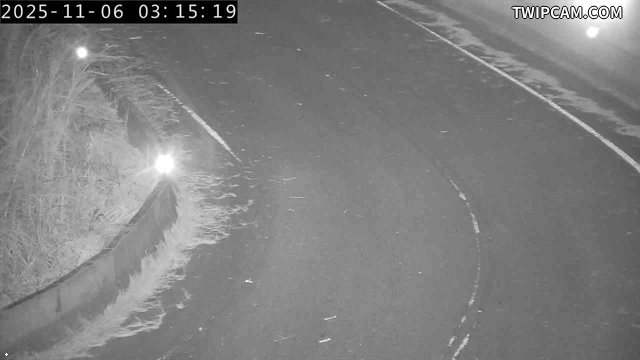 水利署水資源 水利署水利行政組 池上橋2_堤尾缺口 距離4.2公里