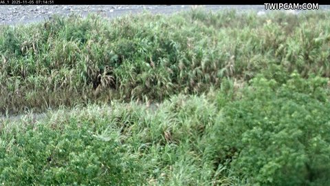 水利署水資源 水利署水利行政組 松羅堤防_PTZ 距離2.6公里