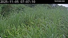 水利署水資源 水利署水利行政組 松羅堤防_出入口 距離2.6公里