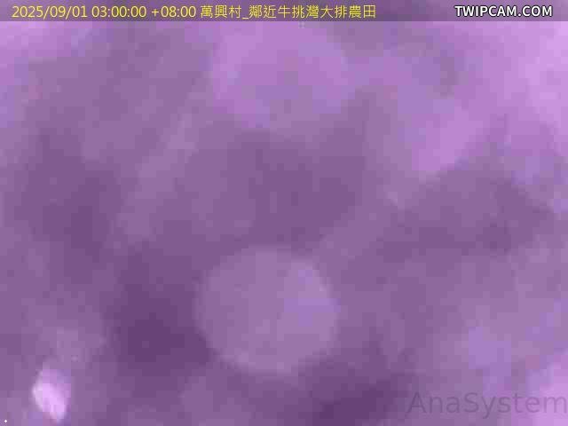 水利署水資源 雲林縣政府水利處 萬興村_鄰近牛挑灣大排農田