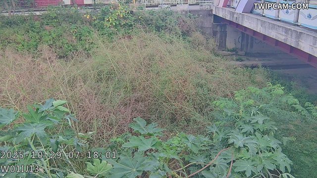 水利署水資源 台中市政府水利局 龍井大排上游影像 距離3.0公里