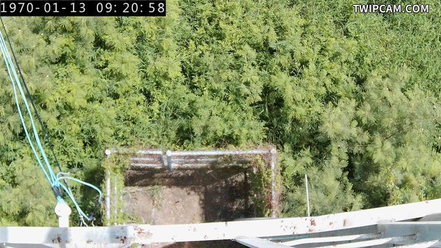 水利署水資源 水利署水利行政組 大安溪民峰砂石場_3
