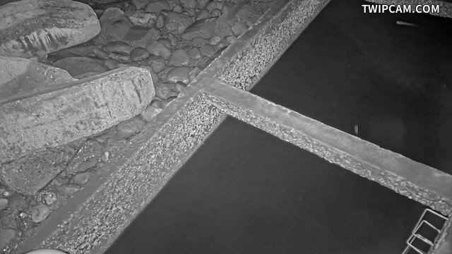 水利署水資源 第五河川分署 台子村堤防 0K+979 外水球機 距離512公尺