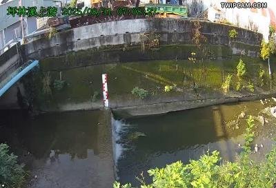 水利署水資源 台中市政府水利局 臺中韌性影像監視站-太平區坪林溪上游