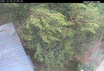 水利署水資源 水利署水利行政組 中彰下游左岸第二越堤正下方_S 距離1.7公里