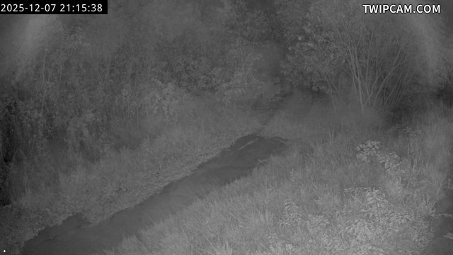 水利署水資源 水利署水利行政組 IP Cam1 氣溫21.3℃