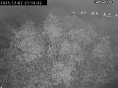 水利署水資源 水利署水利行政組 IP Cam2 氣溫21.3℃