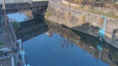 水利署水資源 苗栗縣政府水利處 龍聖橋CCTV