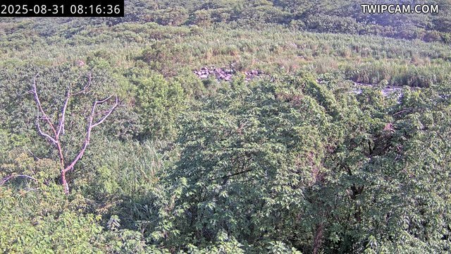水利署水資源 水利署水利行政組 CCD1_下游