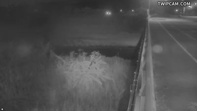 水利署水資源 苗栗縣政府水利處 西湖橋CCTV