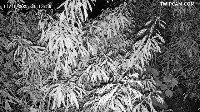 水利署水資源 花蓮縣政府水利科 美崙溪與須美基溪匯流處1 距離3.0公里