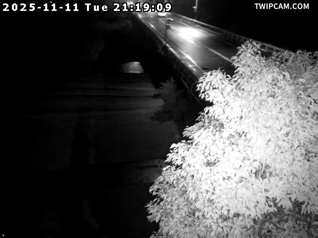 水利署水資源 花蓮縣政府水利科 國福大橋11 距離3.0公里