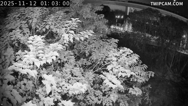 水利署水資源 水利署水利行政組 烏溪橋下游右岸_1 距離1.9公里