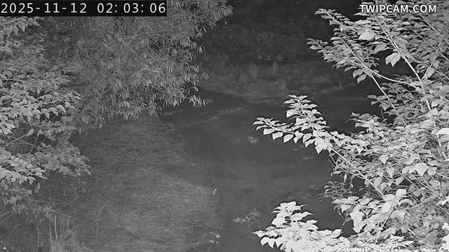 水利署水資源 水利署水利行政組 烏溪橋下游右岸_S 距離1.4公里