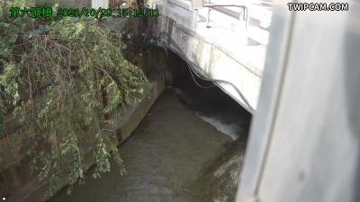 水利署水資源 新竹市政府消防局 第六號橋CCTV 距離818公尺