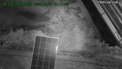 水利署水資源 新竹市政府消防局 東大排水世界街段CCTV 距離504公尺