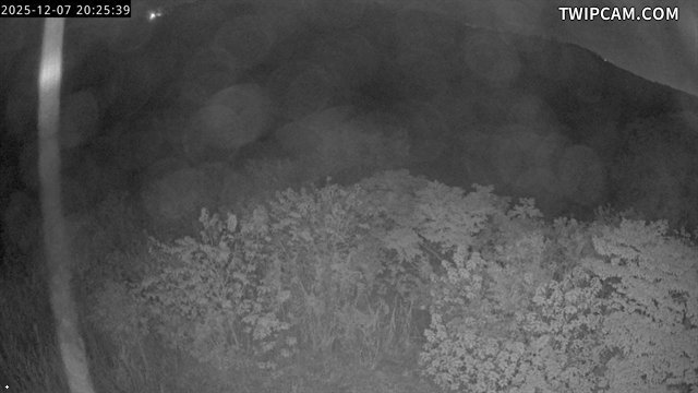 水利署水資源 水利署水利行政組 CCD2 氣溫22.8℃