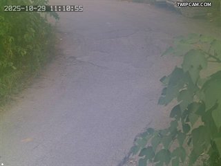 水利署水資源 水利署水利行政組 玉峰橋下方左岸_3 距離1.1公里