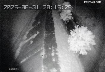 水利署水資源 水利署水利行政組 蘆竹腳堤防_1