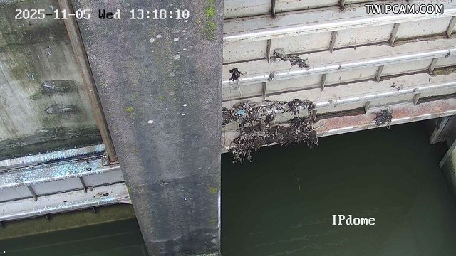 水利署水資源 第一河川分署 五結平行排水路防潮閘門監視 距離1.1公里