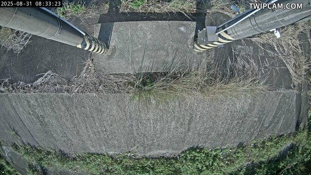 水利署水資源 水利署水利行政組 CCD4_防盜