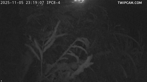 水利署水資源 水利署水利行政組 清水溪8號站_CCD4 距離6.6公里