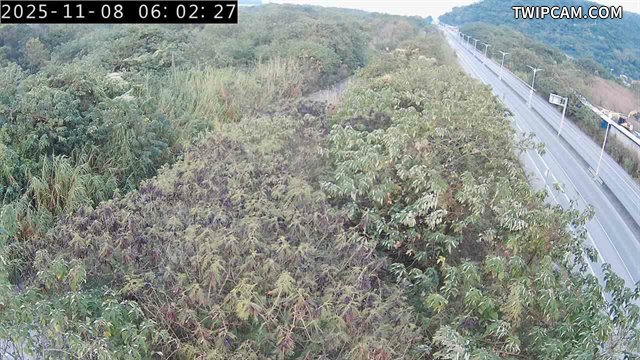 水利署水資源 水利署水利行政組 矮山堤防監控塔_2