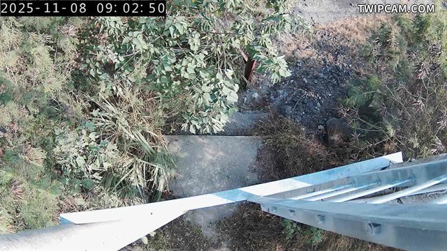 水利署水資源 水利署水利行政組 矮山堤防監控塔_3 距離1.3公里