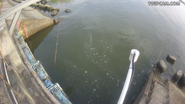 水利署水資源 第二河川分署 後龍溪後龍堤防 1K+000 監視器(外水)