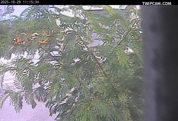 水利署水資源 水利署水利行政組 更寮堤防_5 距離688公尺