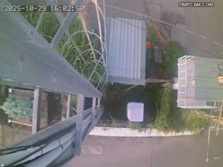 水利署水資源 水利署水利行政組 東勢大橋向下 距離1.8公里