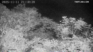 水利署水資源 水利署水利行政組 龍門大橋(1)