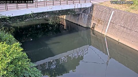 水利署水資源 桃園巿政府水務局(智慧防汛) C02-621_大路橋站