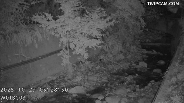 水利署水資源 台中市政府水利局 頭隘坑溪上游影像 距離5.2公里