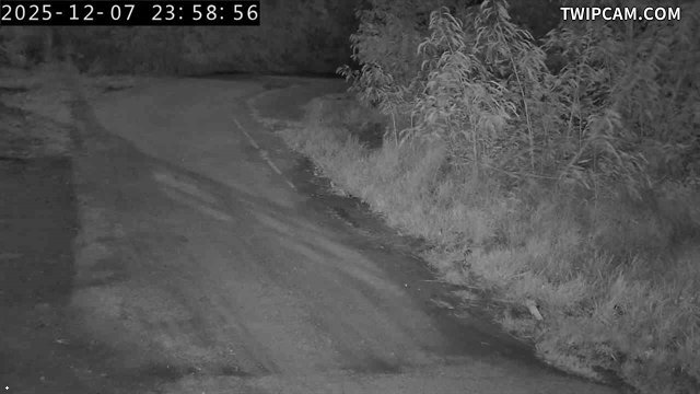 水利署水資源 水利署水利行政組 台東大橋_1 距離1.9公里