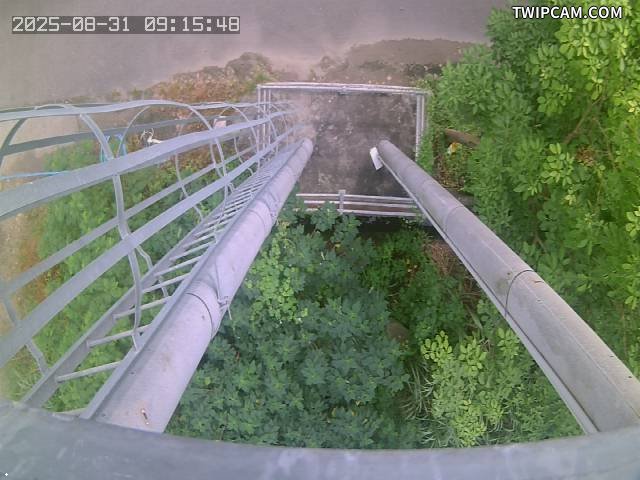 水利署水資源 水利署水利行政組 防汛器材堆置場_4