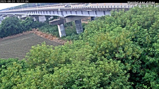 水利署水資源 水利署水利行政組 自強大橋(3)