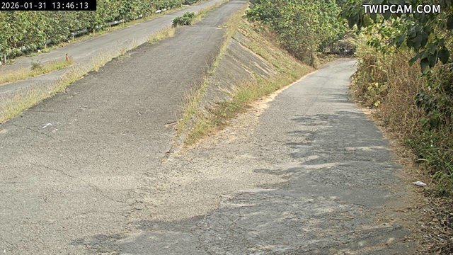 水利署水資源 水利署水利行政組 大洲堤防副站_1 距離4.4公里