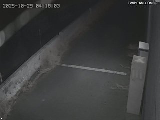 水利署水資源 水利署水利行政組 109自動化越堤路出入口管制門_2