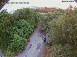 水利署水資源 水利署水利行政組 貓羅溪與烏溪匯流口_1 距離2.3公里