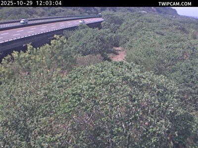 水利署水資源 水利署水利行政組 大甲豐洲堤防道路