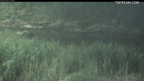 水利署水資源 水利署水利行政組 後湖堤防2+600_4 距離621公尺