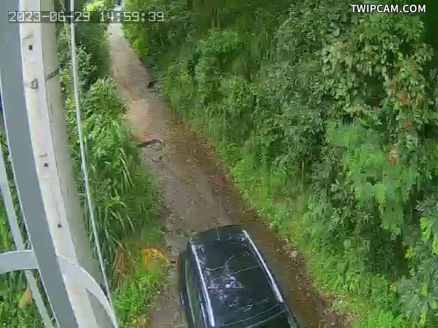 水利署水資源 水利署水利行政組 110遠距-德魯灣橋(3)