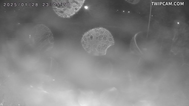 水利署水資源 第四河川分署 104號越堤路出入口(進) 距離2.2公里