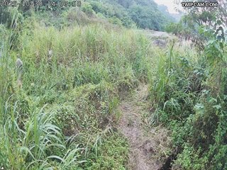 水利署水資源 水利署水利行政組 大安溪達觀堤防簡易站_2 距離9.8公里